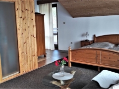 Superior s vířivou vanou penzion u Benešova u Prahy